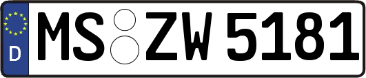 MS-ZW5181