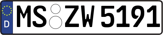 MS-ZW5191