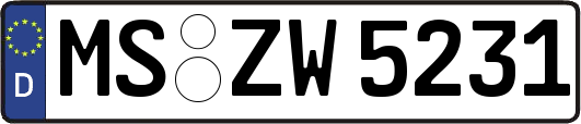 MS-ZW5231