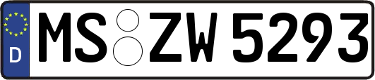 MS-ZW5293