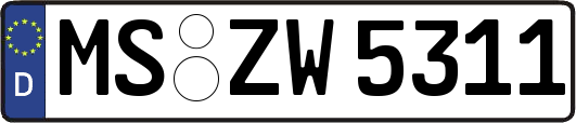 MS-ZW5311