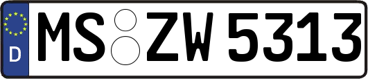 MS-ZW5313