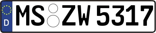 MS-ZW5317