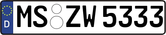 MS-ZW5333