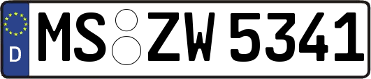 MS-ZW5341