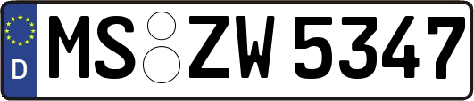 MS-ZW5347