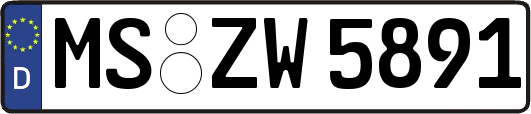 MS-ZW5891