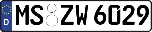 MS-ZW6029