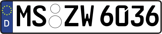 MS-ZW6036
