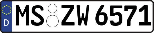 MS-ZW6571
