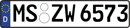 MS-ZW6573