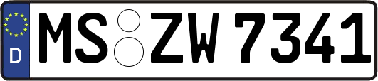 MS-ZW7341