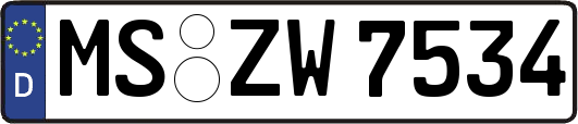 MS-ZW7534
