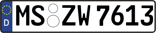 MS-ZW7613