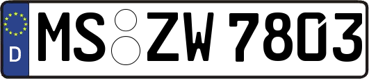 MS-ZW7803