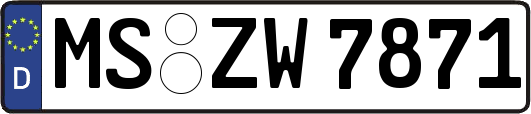 MS-ZW7871