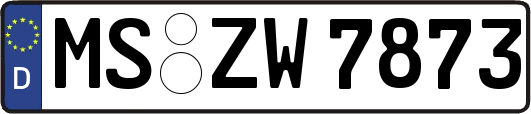 MS-ZW7873