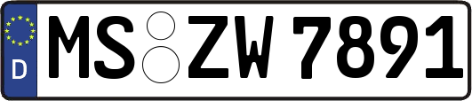 MS-ZW7891