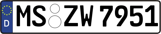 MS-ZW7951