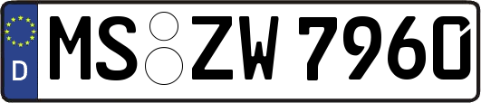 MS-ZW7960