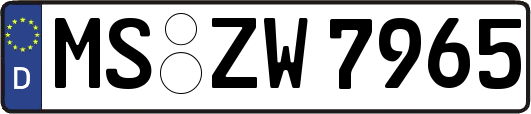 MS-ZW7965