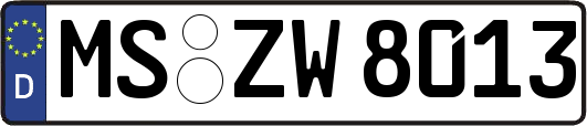 MS-ZW8013