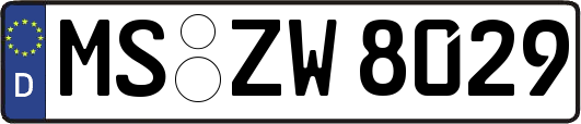 MS-ZW8029