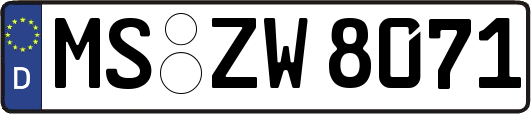 MS-ZW8071