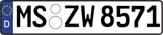 MS-ZW8571
