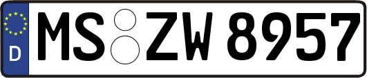 MS-ZW8957