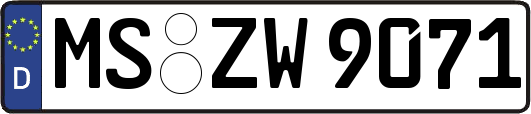 MS-ZW9071
