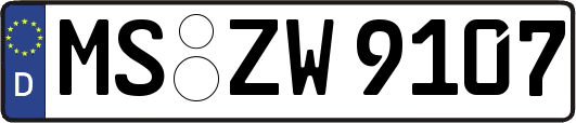 MS-ZW9107