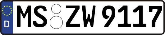 MS-ZW9117
