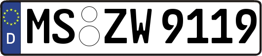 MS-ZW9119