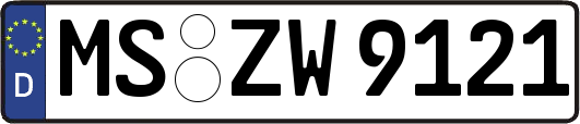 MS-ZW9121