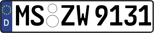 MS-ZW9131