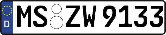 MS-ZW9133