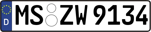 MS-ZW9134