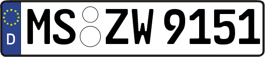 MS-ZW9151