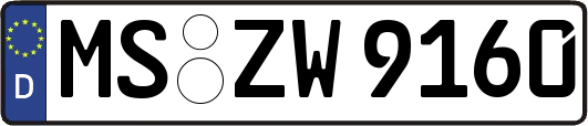 MS-ZW9160
