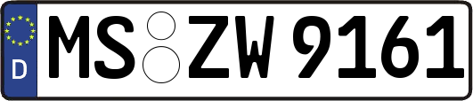 MS-ZW9161