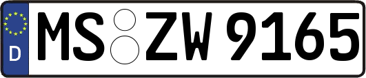 MS-ZW9165