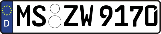 MS-ZW9170