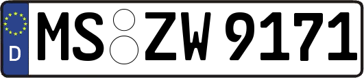 MS-ZW9171