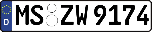 MS-ZW9174