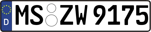MS-ZW9175