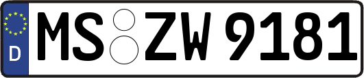 MS-ZW9181