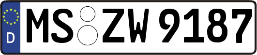 MS-ZW9187