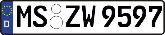 MS-ZW9597