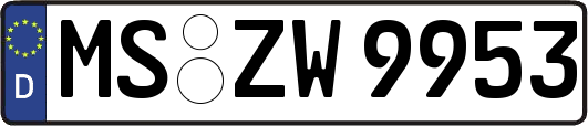 MS-ZW9953